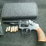 segado tres 1 - Diario Resumen de la región