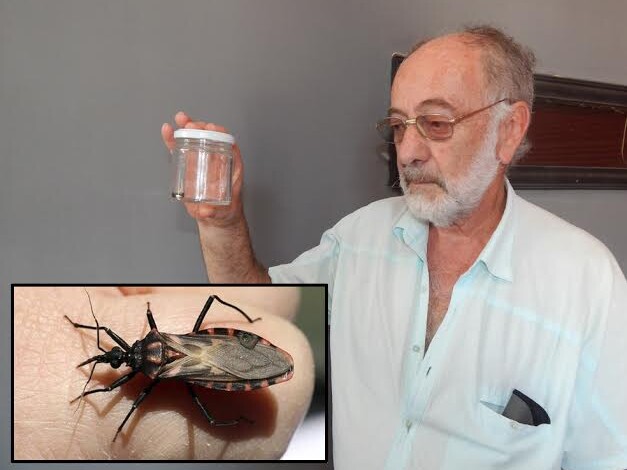 vinchuca 1 - Diario Resumen de la región