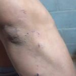 14274310 338683089812460 225547493 o 1 - Diario Resumen de la región