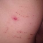 14536785 338683116479124 320720323 o 1 - Diario Resumen de la región