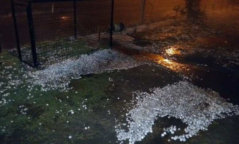 14713043 1172858502801266 3512425625151557037 o 1 - Diario Resumen de la región