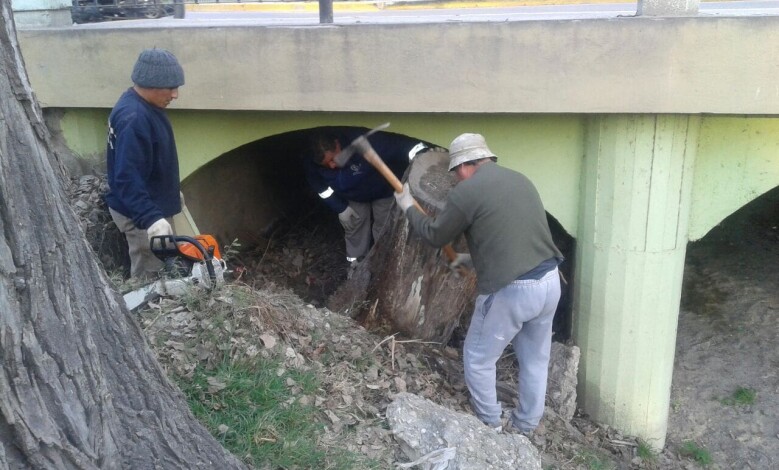 IMG 20161004 WA0031 1 1 - Diario Resumen de la región