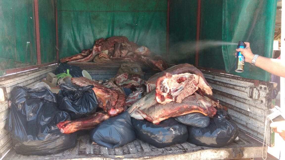 597 carne A 1 - Diario Resumen de la región