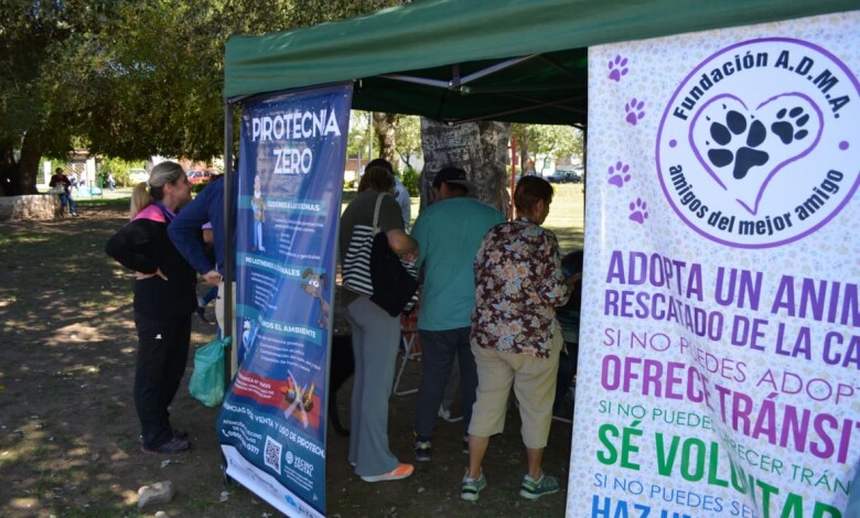 DSC 7123 1280x768 comunicaciones.muni 1 - Diario Resumen de la región