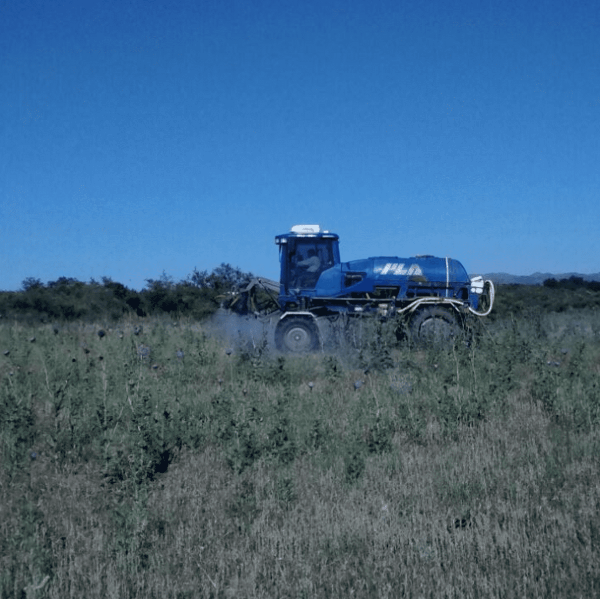 FUMIGACIÓN VILLA CAMIARES 1 - Diario Resumen de la región