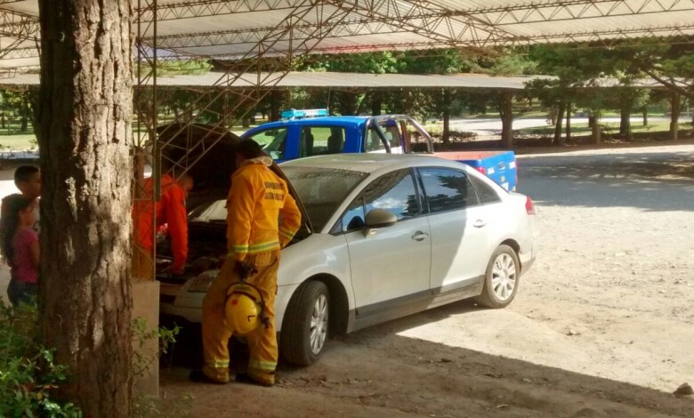 IMG 20161110 WA0063 1 - Diario Resumen de la región