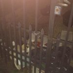 basura 1 - Diario Resumen de la región