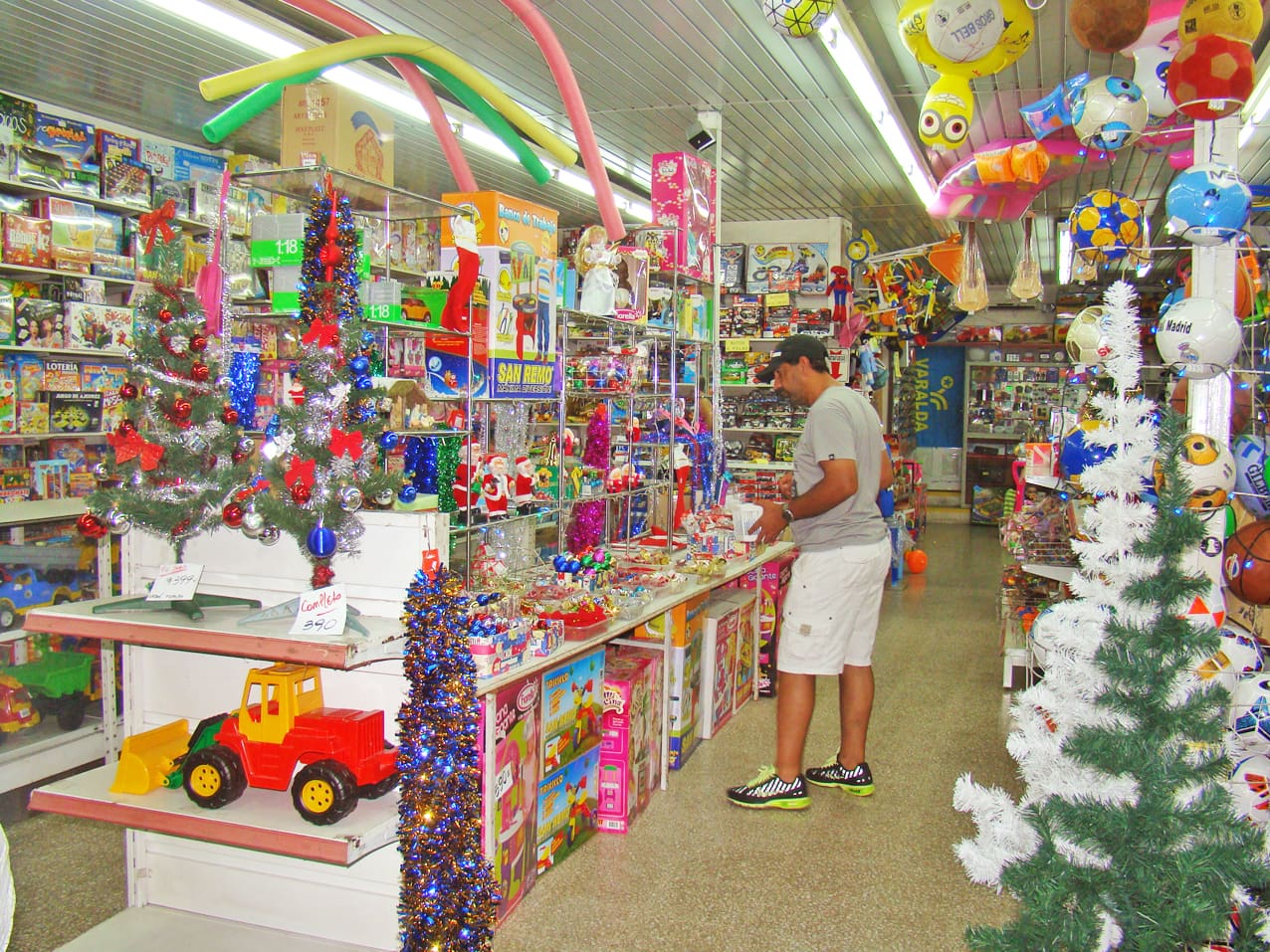 DSC01208 1 - Diario Resumen de la región