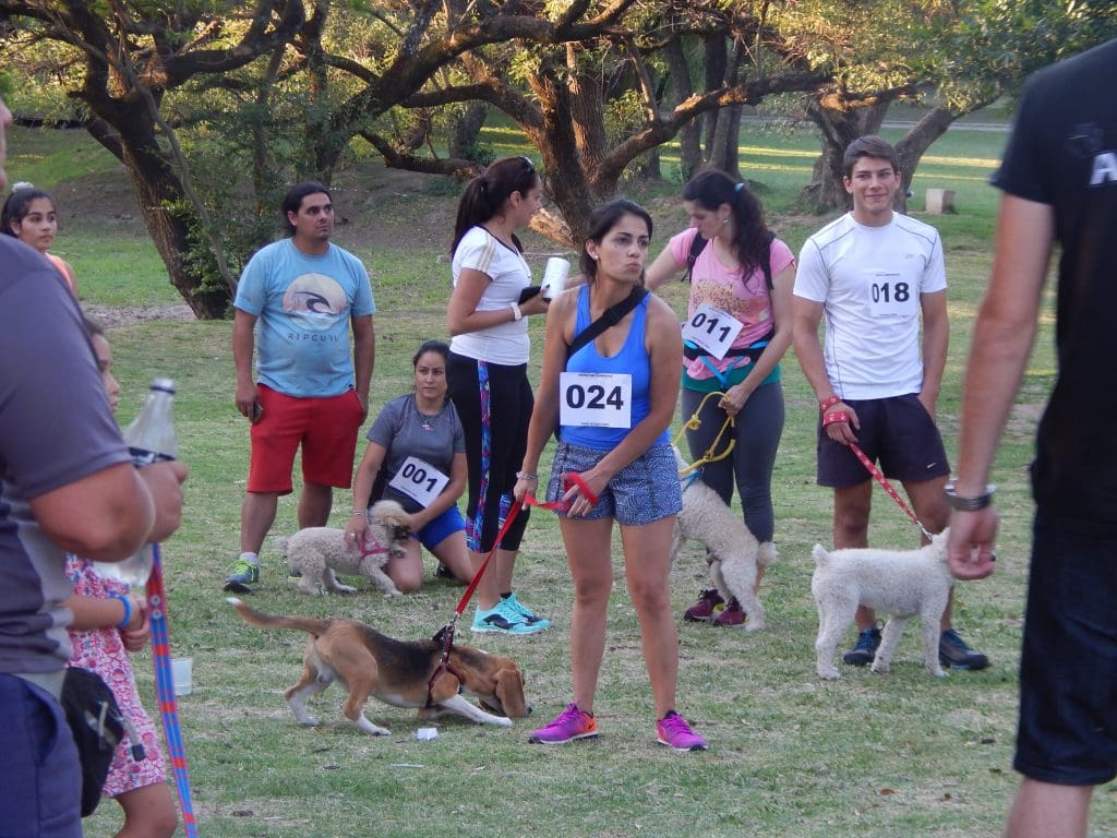 DSCN3042 1 - Diario Resumen de la región