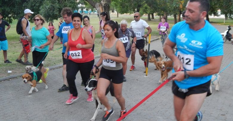 DSCN3053 1 - Diario Resumen de la región