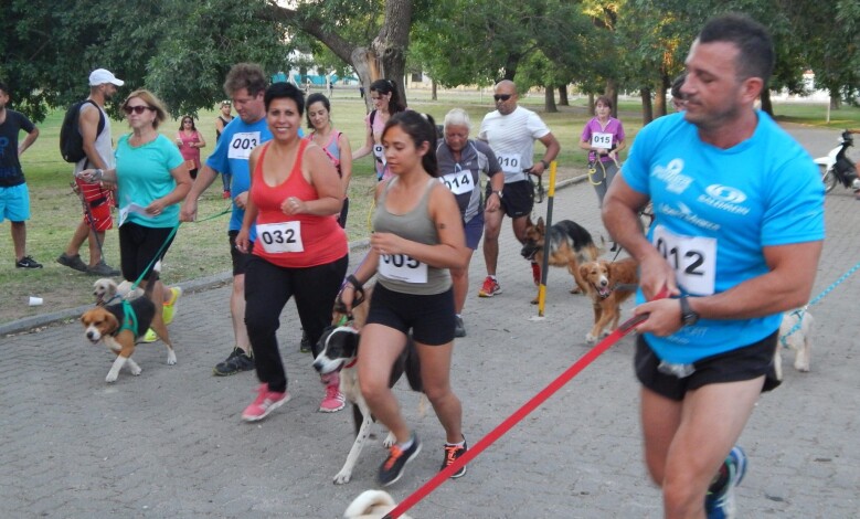 DSCN3053 1 - Diario Resumen de la región