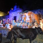 DSCN3248 1 - Diario Resumen de la región