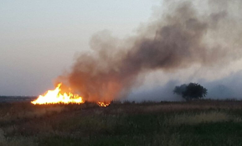 IMG 20161129 WA0026 1 - Diario Resumen de la región