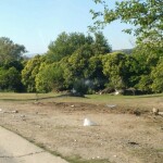 IMG 20161203 WA0061 1 - Diario Resumen de la región