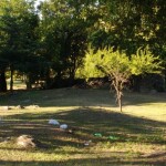 IMG 20161203 WA0063 1 - Diario Resumen de la región