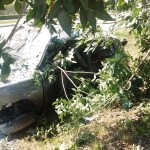 IMG 20161203 WA0102 1 - Diario Resumen de la región