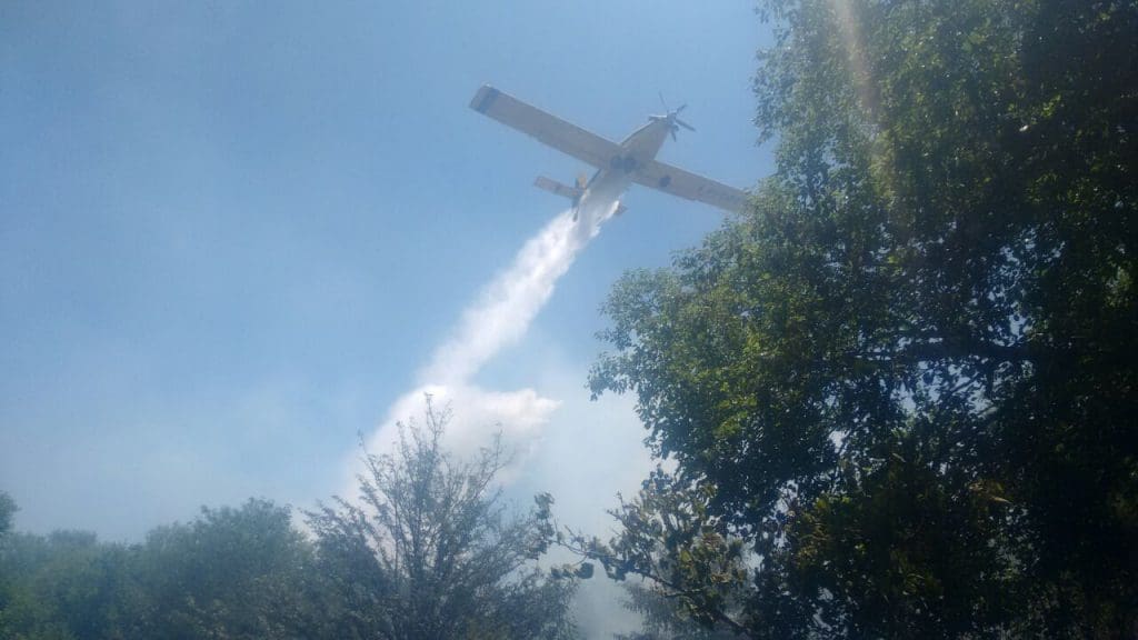 IMG 20161220 WA0038 1 - Diario Resumen de la región