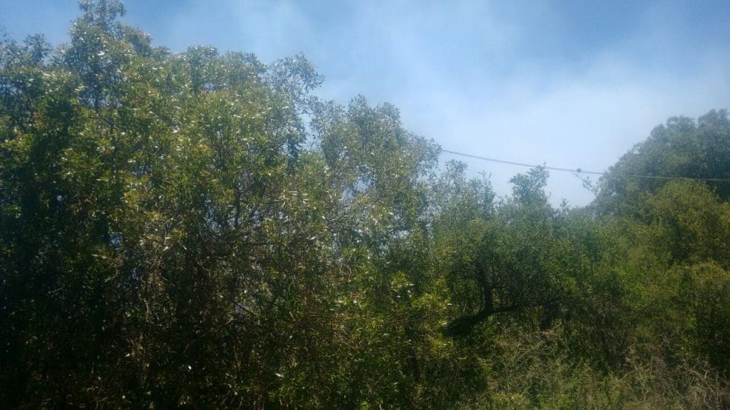 IMG 20161220 WA0039 1 - Diario Resumen de la región