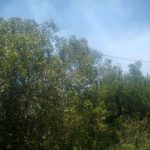 IMG 20161220 WA0039 1 - Diario Resumen de la región