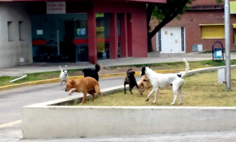 IMG 20161223 WA0021 1 - Diario Resumen de la región