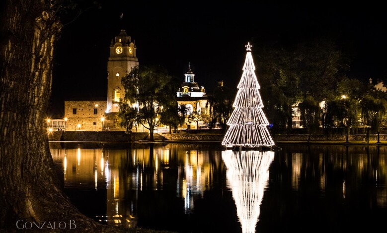 arbol flotante 1 1 - Diario Resumen de la región