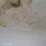 Baño cinco 1 - Diario Resumen de la región