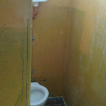 Baño uno 1 - Diario Resumen de la región