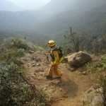 Bomberos 1 - Diario Resumen de la región