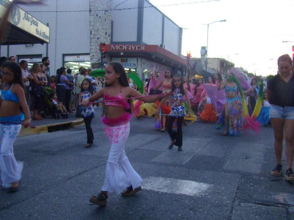 DSC01547 1 - Diario Resumen de la región