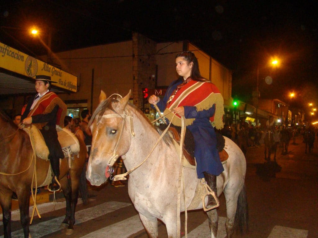 DSC01629 1 - Diario Resumen de la región