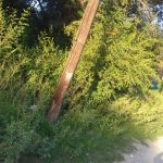 IMG 20170119 WA0015 1 1 - Diario Resumen de la región