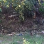 IMG 20170119 WA0022 1 - Diario Resumen de la región