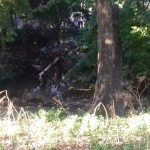 IMG 20170119 WA0024 1 - Diario Resumen de la región