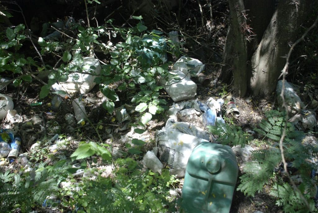 WhatsApp Image 2017 01 17 at 14.58.14 1 - Diario Resumen de la región