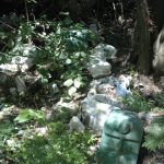 WhatsApp Image 2017 01 17 at 14.58.14 1 - Diario Resumen de la región