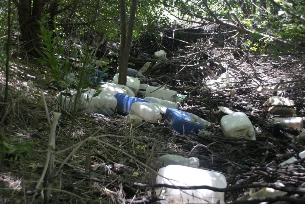 WhatsApp Image 2017 01 17 at 14.58.19 1 - Diario Resumen de la región