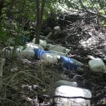 WhatsApp Image 2017 01 17 at 14.58.19 1 - Diario Resumen de la región