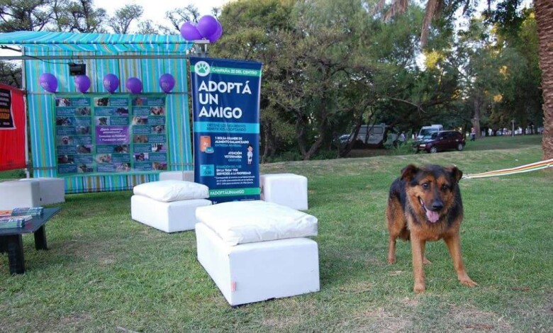 WhatsApp Image 2017 01 27 at 00.17.01 1 - Diario Resumen de la región