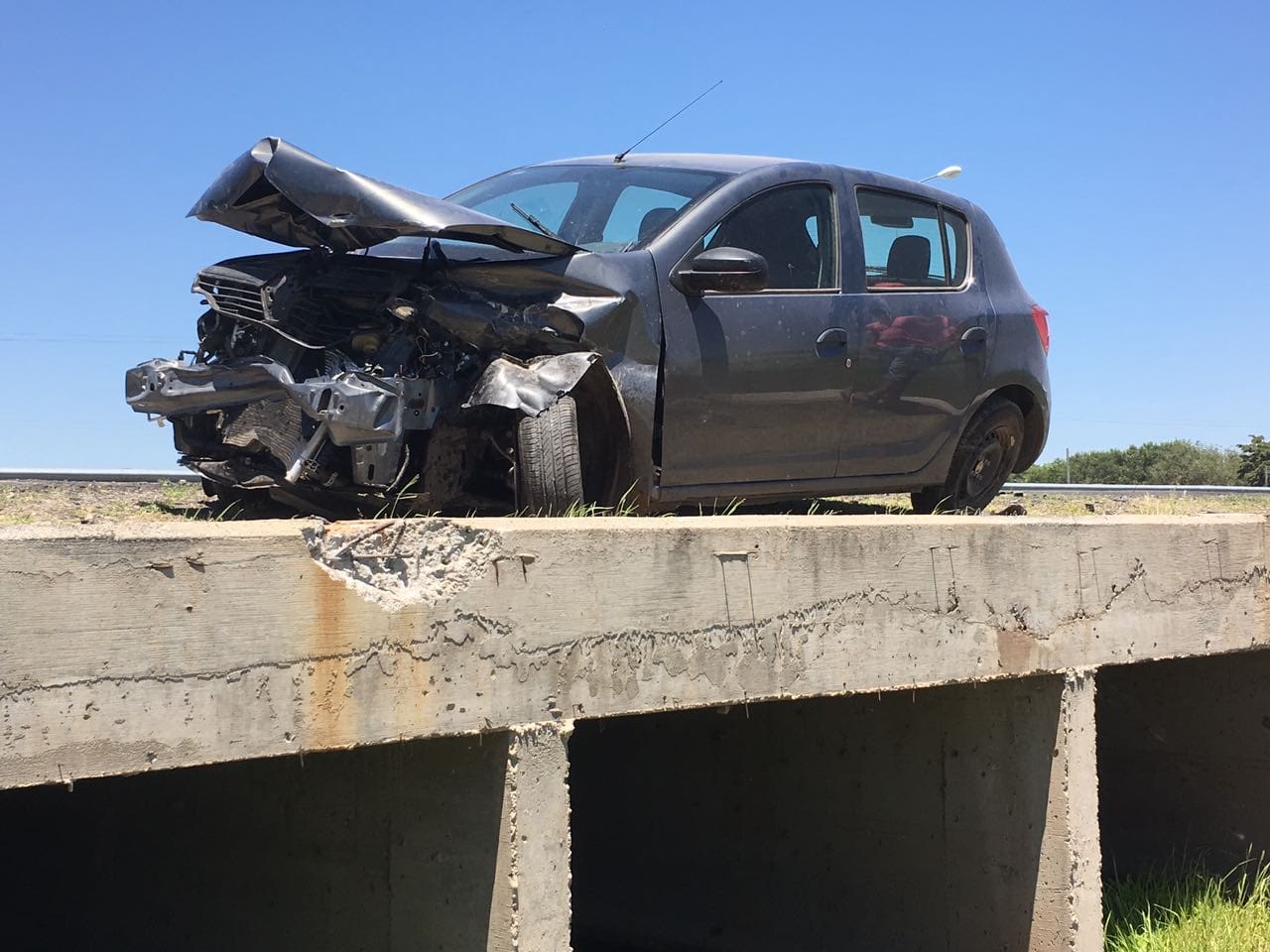 WhatsApp Image 2017 01 28 at 14.02.03 1 - Diario Resumen de la región