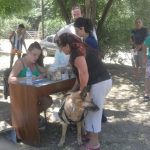 anisacate cuatro 1 - Diario Resumen de la región