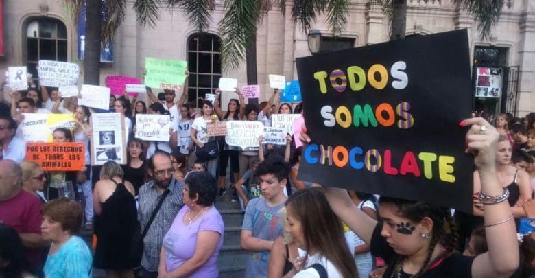 chocolate1 0 1 1 - Diario Resumen de la región