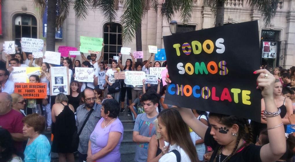 chocolate1 0 1 1 - Diario Resumen de la región