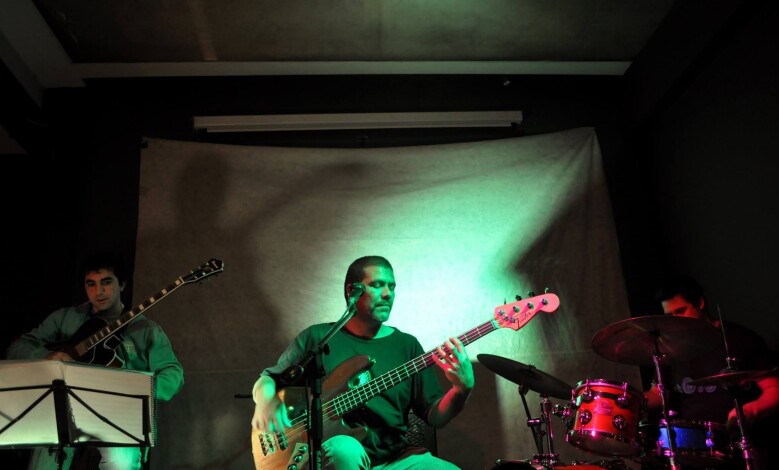 elefante triook 1 - Diario Resumen de la región