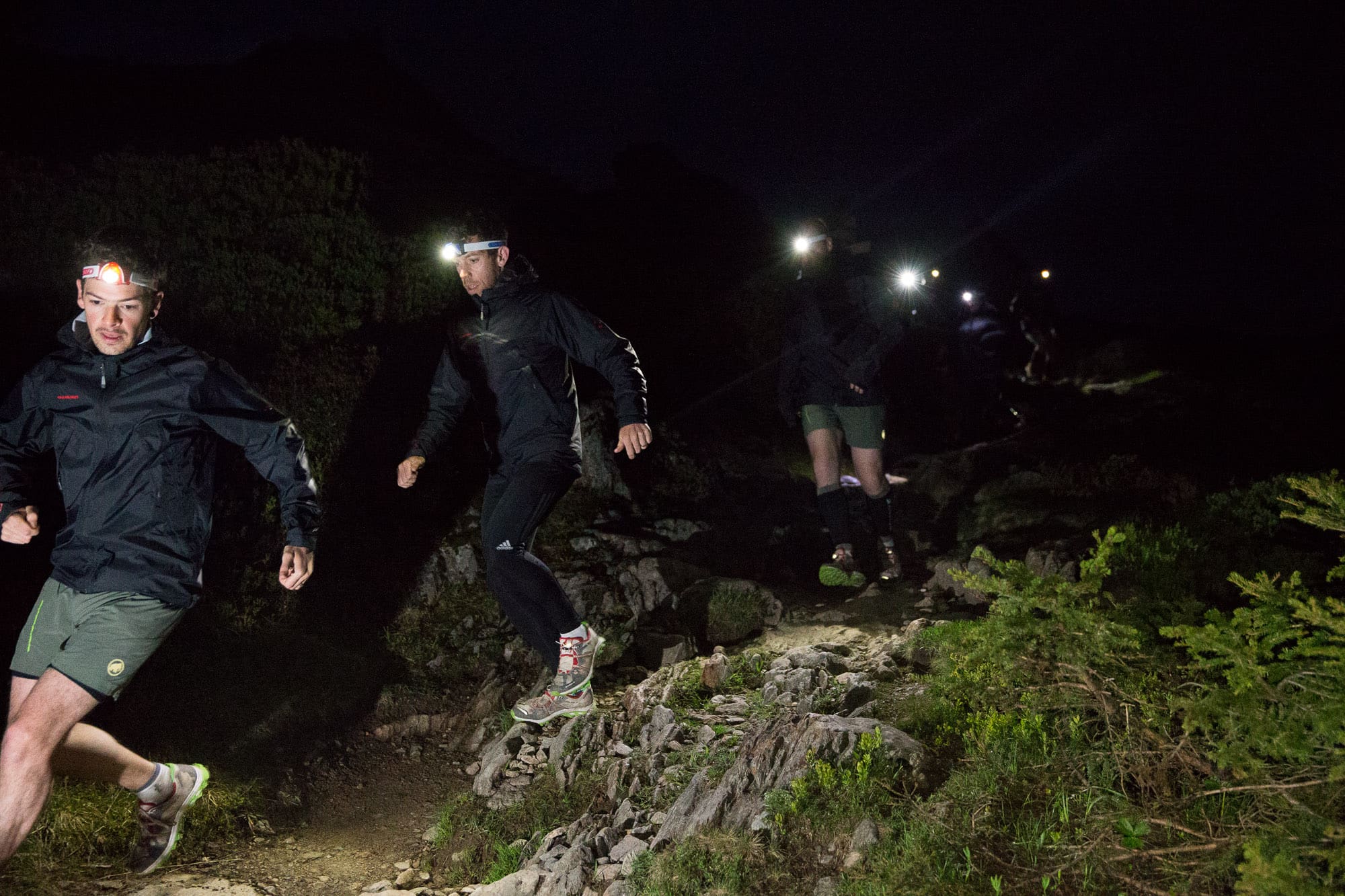 night run 3 1 - Diario Resumen de la región
