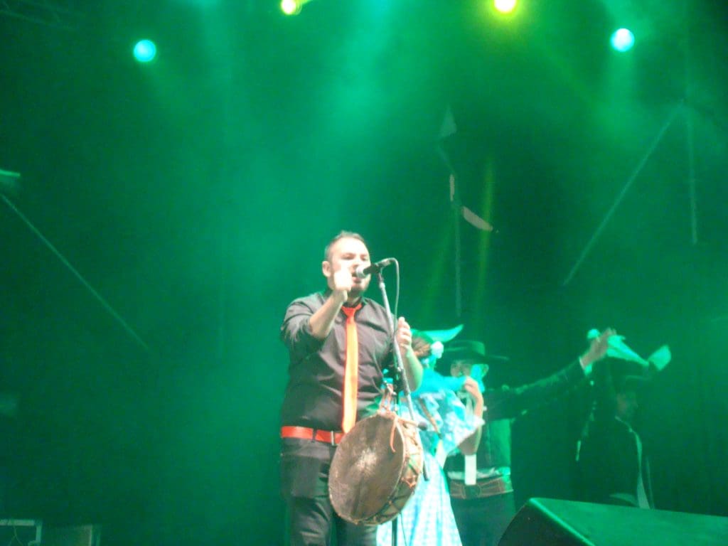 DSC01734 1 - Diario Resumen de la región