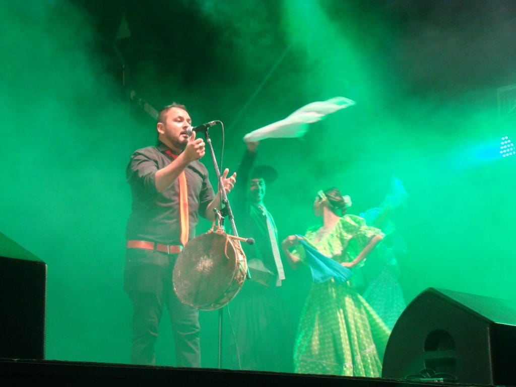 DSC01740 1 - Diario Resumen de la región