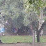 DSCN4671 1 - Diario Resumen de la región