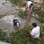 IMG 20170209 WA00461 1 - Diario Resumen de la región