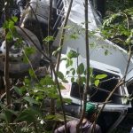 camion1 1 - Diario Resumen de la región