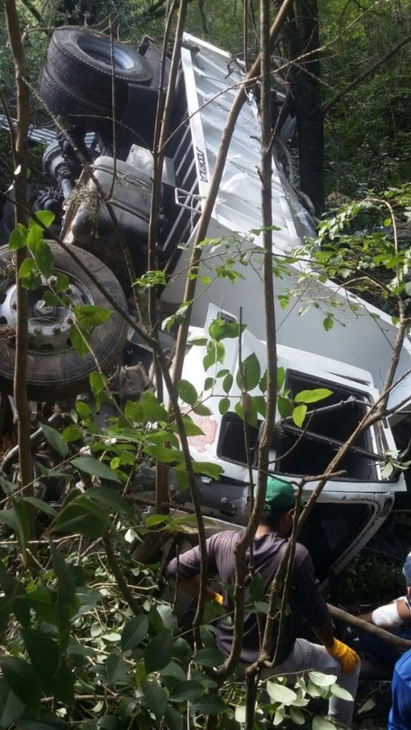 camion1 1 - Diario Resumen de la región